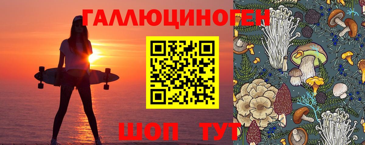 Псилоцибиновые грибы Magic Shrooms Большой Камень