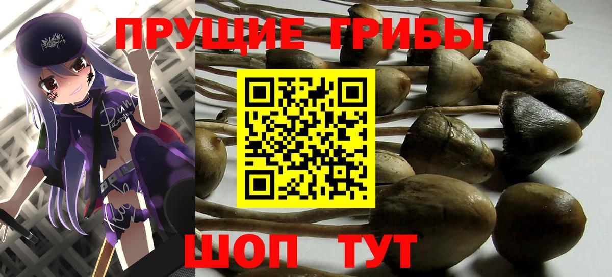 Псилоцибиновые грибы ЛСД  Вход с VPN  Большой Камень 